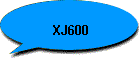 XJ600